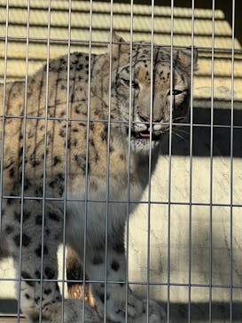 名古屋市東山動植物園に投稿された画像（2024/11/3）