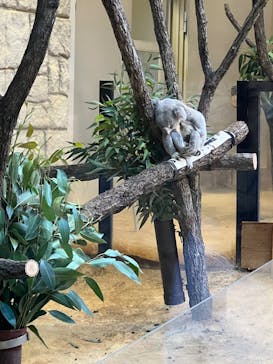 名古屋市東山動植物園に投稿された画像（2024/11/3）