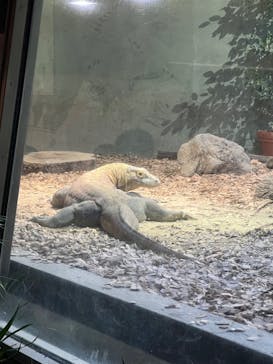 名古屋市東山動植物園に投稿された画像（2024/11/3）