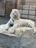 東武動物公園に投稿された画像（2024/11/4）