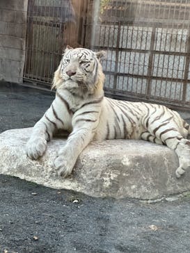 東武動物公園に投稿された画像（2024/11/3）