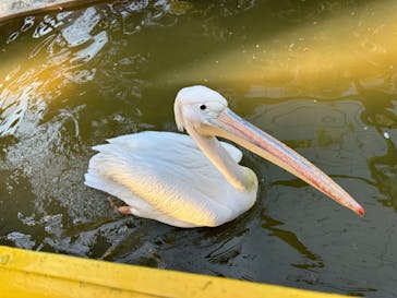 東武動物公園に投稿された画像（2024/11/3）
