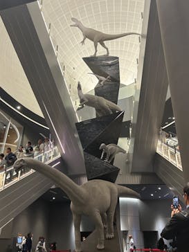 福井県立恐竜博物館に投稿された画像（2024/11/3）