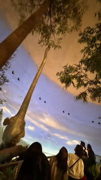 福井県立恐竜博物館に投稿された画像（2024/11/3）