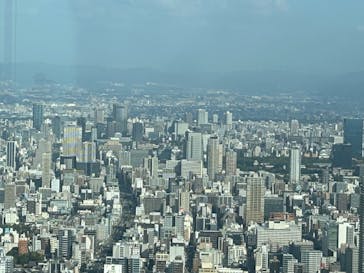 ハルカス300(展望台)に投稿された画像（2024/11/3）