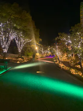 ひらかたパークに投稿された画像（2024/11/3）