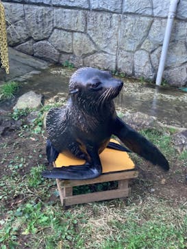 那須どうぶつ王国に投稿された画像（2024/11/3）