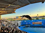仙台うみの杜水族館に投稿された画像（2024/11/4）