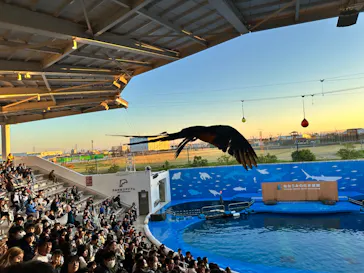 仙台うみの杜水族館に投稿された画像（2024/11/3）