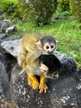 伊豆シャボテン動物公園に投稿された画像（2024/11/3）