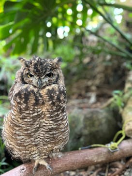 伊豆シャボテン動物公園に投稿された画像（2024/11/3）