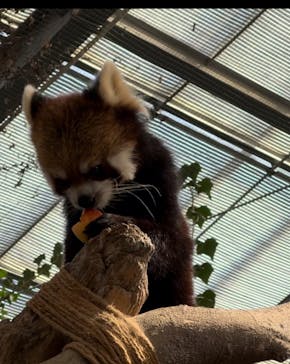 神戸どうぶつ王国に投稿された画像（2024/11/3）