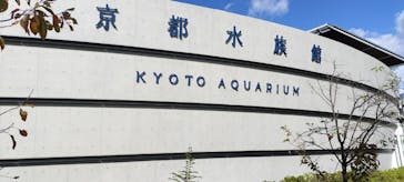 京都水族館に投稿された画像（2024/11/3）