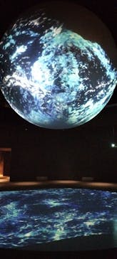 NIFREL（ニフレル）に投稿された画像（2024/11/3）