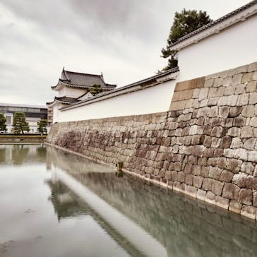 元離宮二条城に投稿された画像（2024/11/4）