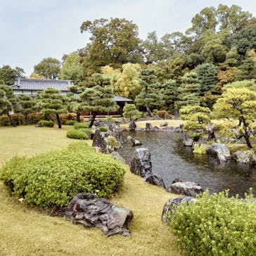 元離宮二条城に投稿された画像（2024/11/4）