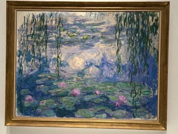 モネ 睡蓮のとき（国立西洋美術館）に投稿された画像（2024/11/4）
