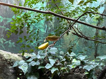 恩賜上野動物園に投稿された画像（2024/11/4）