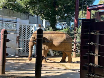恩賜上野動物園に投稿された画像（2024/11/4）