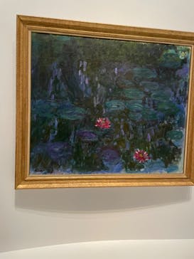モネ 睡蓮のとき（国立西洋美術館）に投稿された画像（2024/11/4）