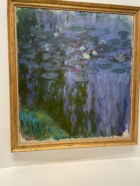 モネ 睡蓮のとき（国立西洋美術館）に投稿された画像（2024/11/4）