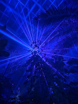 京都府立植物園　LIGHT CYCLES KYOTOに投稿された画像（2024/11/4）