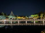 国営昭和記念公園 秋の夜散歩に投稿された画像（2024/11/4）