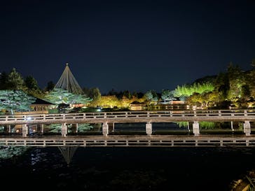 国営昭和記念公園 秋の夜散歩に投稿された画像（2024/11/4）