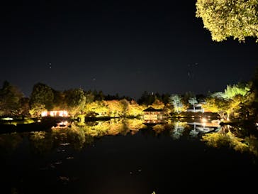 国営昭和記念公園 秋の夜散歩に投稿された画像（2024/11/4）