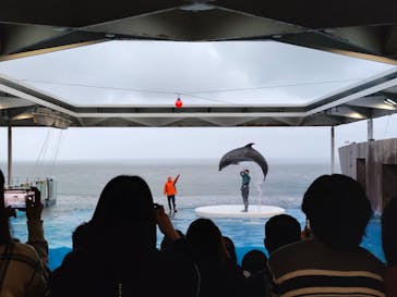 上越市立水族博物館 うみがたりに投稿された画像（2024/11/4）