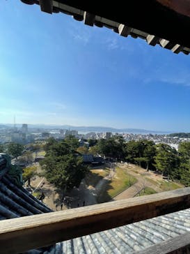 松江城に投稿された画像（2024/11/4）