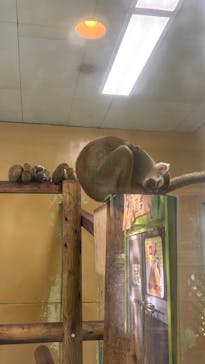 東武動物公園に投稿された画像（2024/11/4）