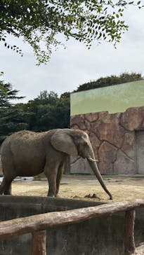 東武動物公園に投稿された画像（2024/11/4）