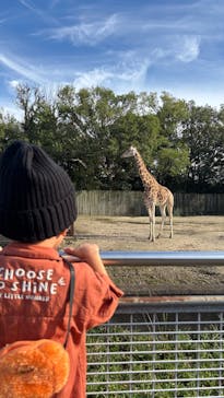 東武動物公園に投稿された画像（2024/11/4）