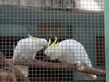 名古屋市東山動植物園に投稿された画像（2024/11/4）