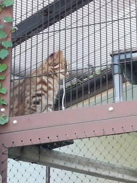 名古屋市東山動植物園に投稿された画像（2024/11/4）