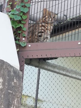 名古屋市東山動植物園に投稿された画像（2024/11/4）