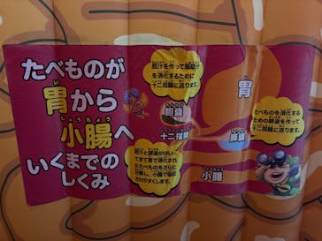 超からだのひみつ大冒険2024実行委員会に投稿された画像（2024/11/4）