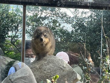 神戸どうぶつ王国に投稿された画像（2024/11/4）