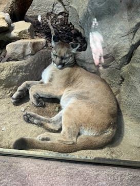 神戸どうぶつ王国に投稿された画像（2024/11/4）