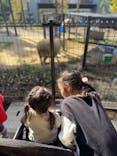 天王寺動物園に投稿された画像（2024/11/4）