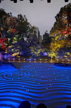 博多ライトアップウォーク実行委員会に投稿された画像（2024/11/4）