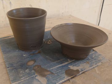 ツチのコ堂に投稿された画像（2024/11/4）