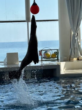 アクアワールド茨城県大洗水族館に投稿された画像（2024/11/4）