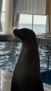 アクアワールド茨城県大洗水族館に投稿された画像（2024/11/4）