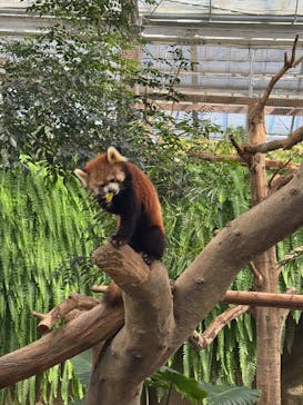 神戸どうぶつ王国に投稿された画像（2024/11/4）