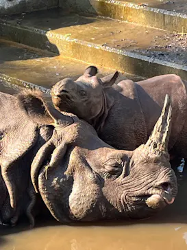 多摩動物公園に投稿された画像（2024/11/4）