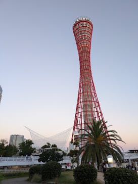 神戸ポートタワーに投稿された画像（2024/11/4）