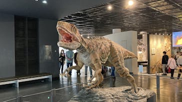 福井県立恐竜博物館に投稿された画像（2024/11/4）