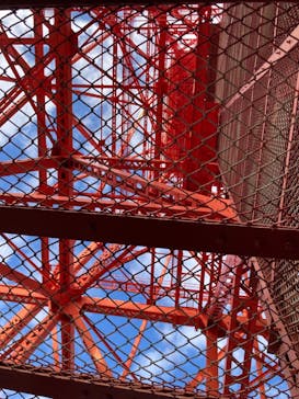 東京タワーに投稿された画像（2024/11/4）